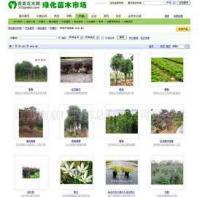 專業(yè)企業(yè)網(wǎng)頁設(shè)計(jì)與維護(hù)服務(wù) 構(gòu)建數(shù)字化形象，驅(qū)動業(yè)務(wù)增長